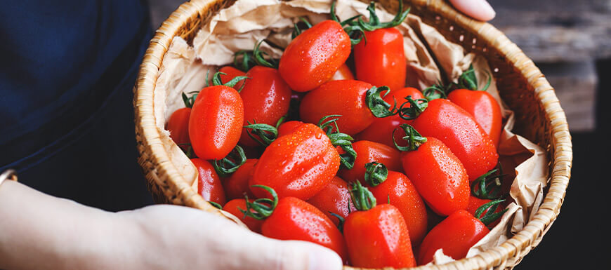 Hands holding basket full of san marzano tomatoes